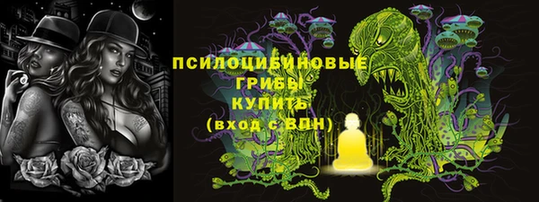 бутират Белокуриха