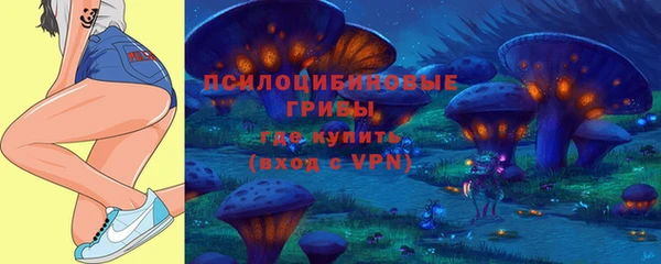 PSILOCYBIN Дмитриев