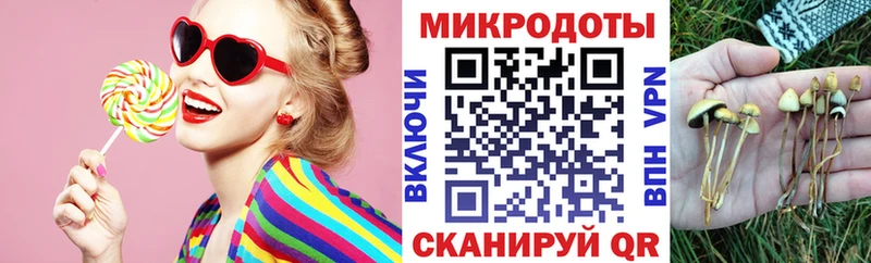 OMG ТОР  Дигора  Псилоцибиновые грибы GOLDEN TEACHER  цены наркотик 